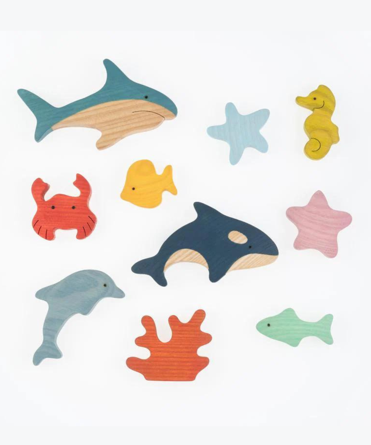 Marine Fishes Set