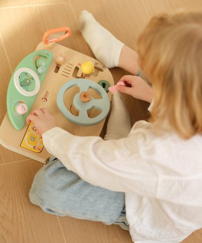 Multi Function Steering Wheel