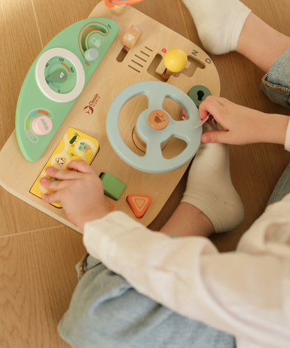Multi Function Steering Wheel