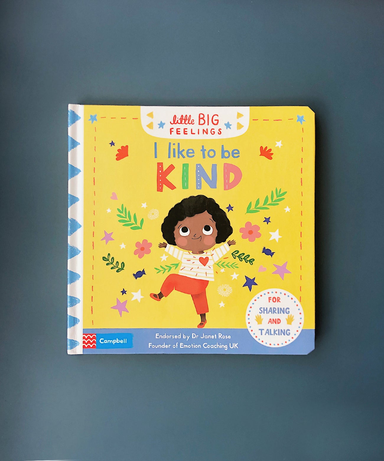 Little Big Feelings Series Books