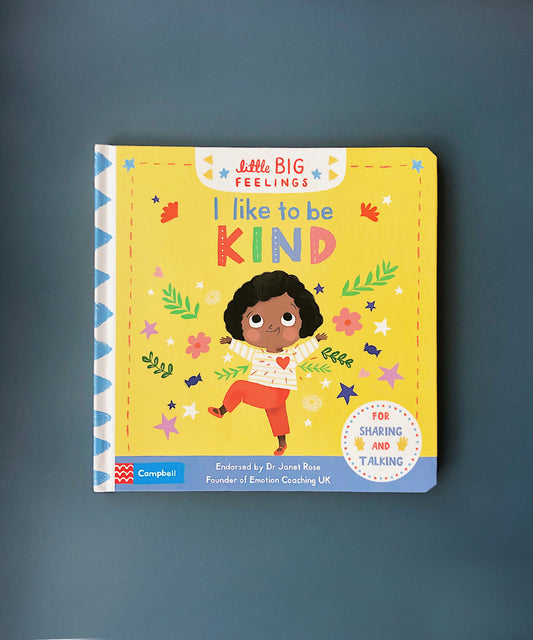 Little Big Feelings Series Books