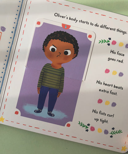 Little Big Feelings Series Books