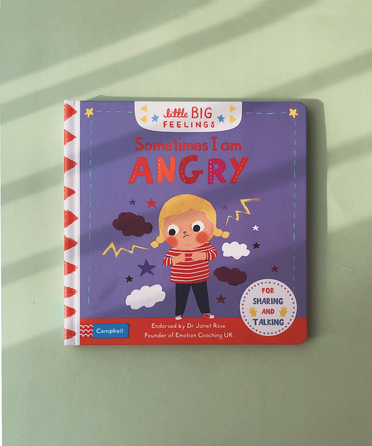 Little Big Feelings Series Books
