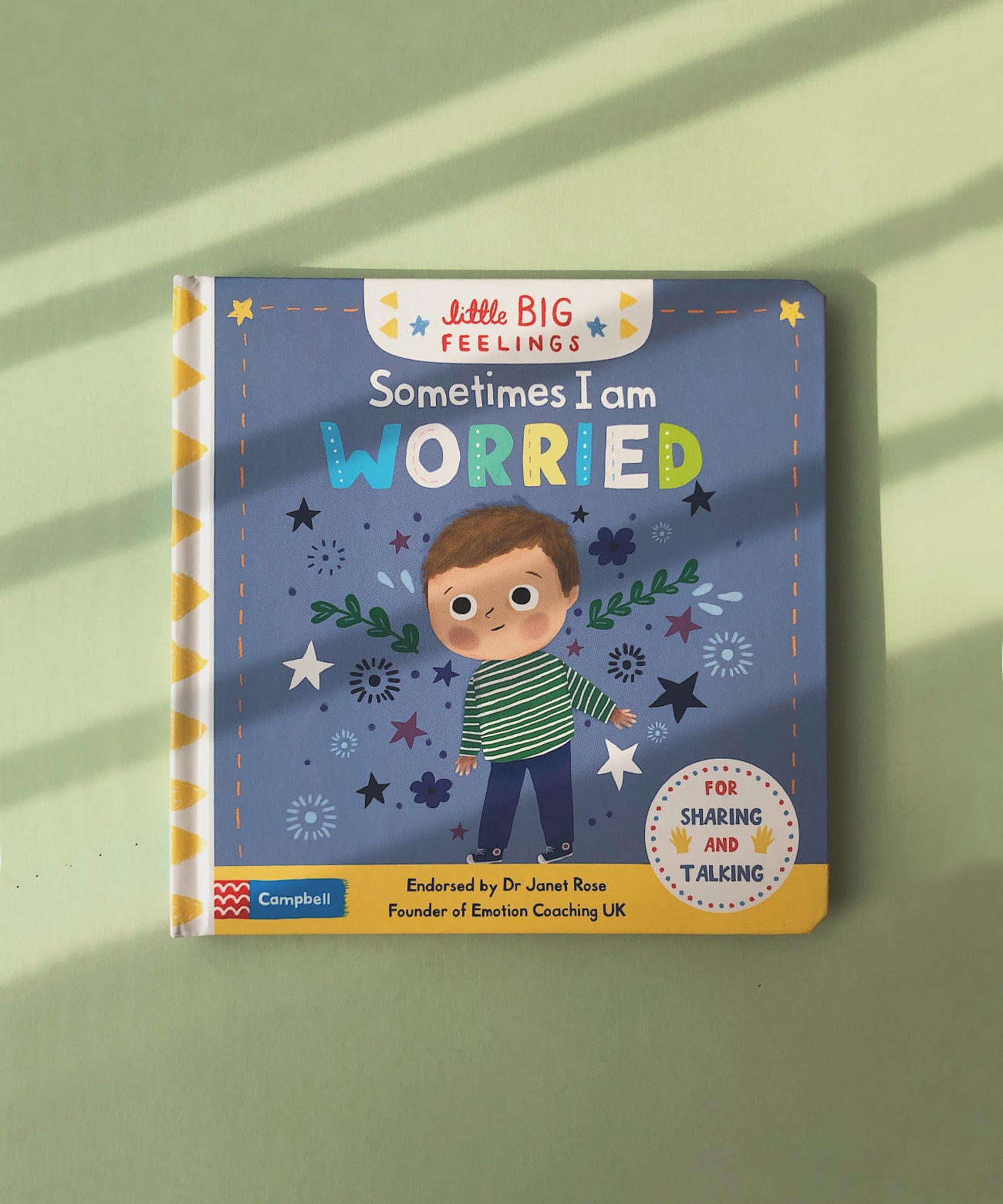 Little Big Feelings Series Books