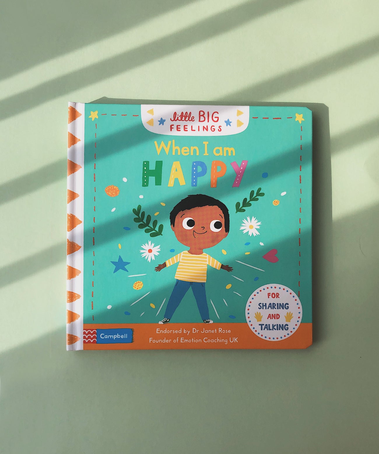 Little Big Feelings Series Books